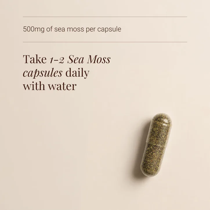 KIKI HEALTH Organic Irish Sea Moss - 90 Vegicaps, additional product view 3