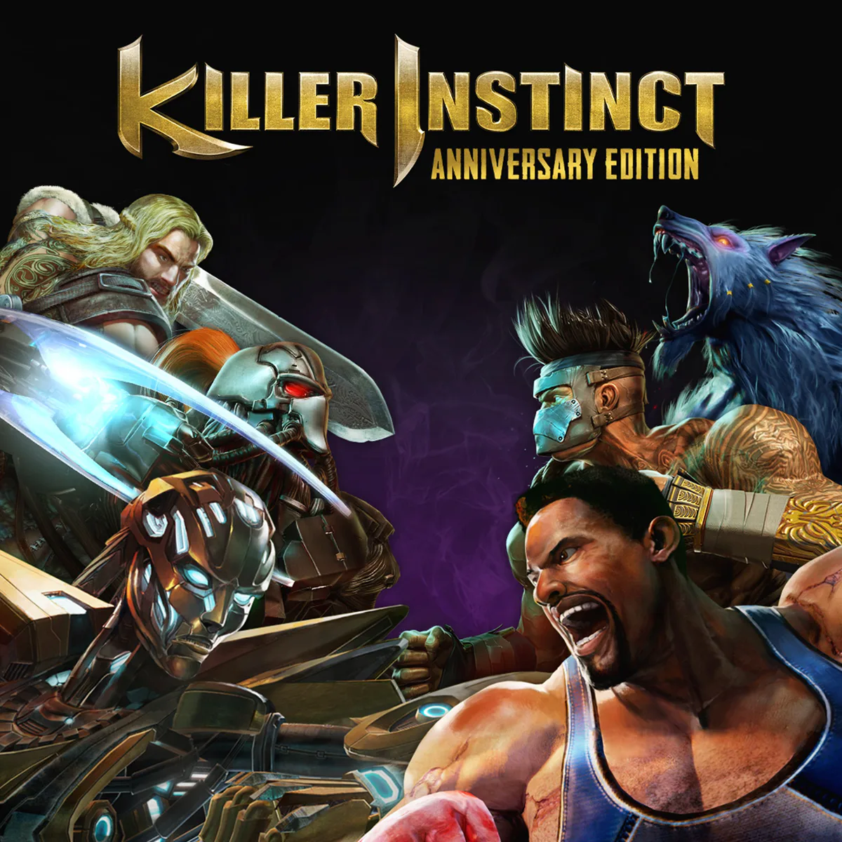 Xbox Game Studios Killer Instinct: Anniversary Edition in Digital, additional product view 2