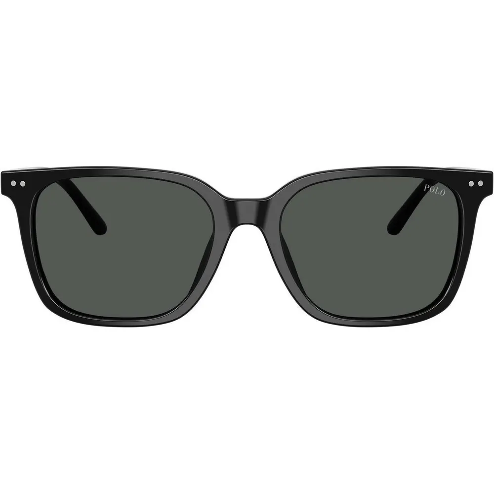 Polo Ralph Lauren Men's 0PH4235U Wayfarer Sunglasses
