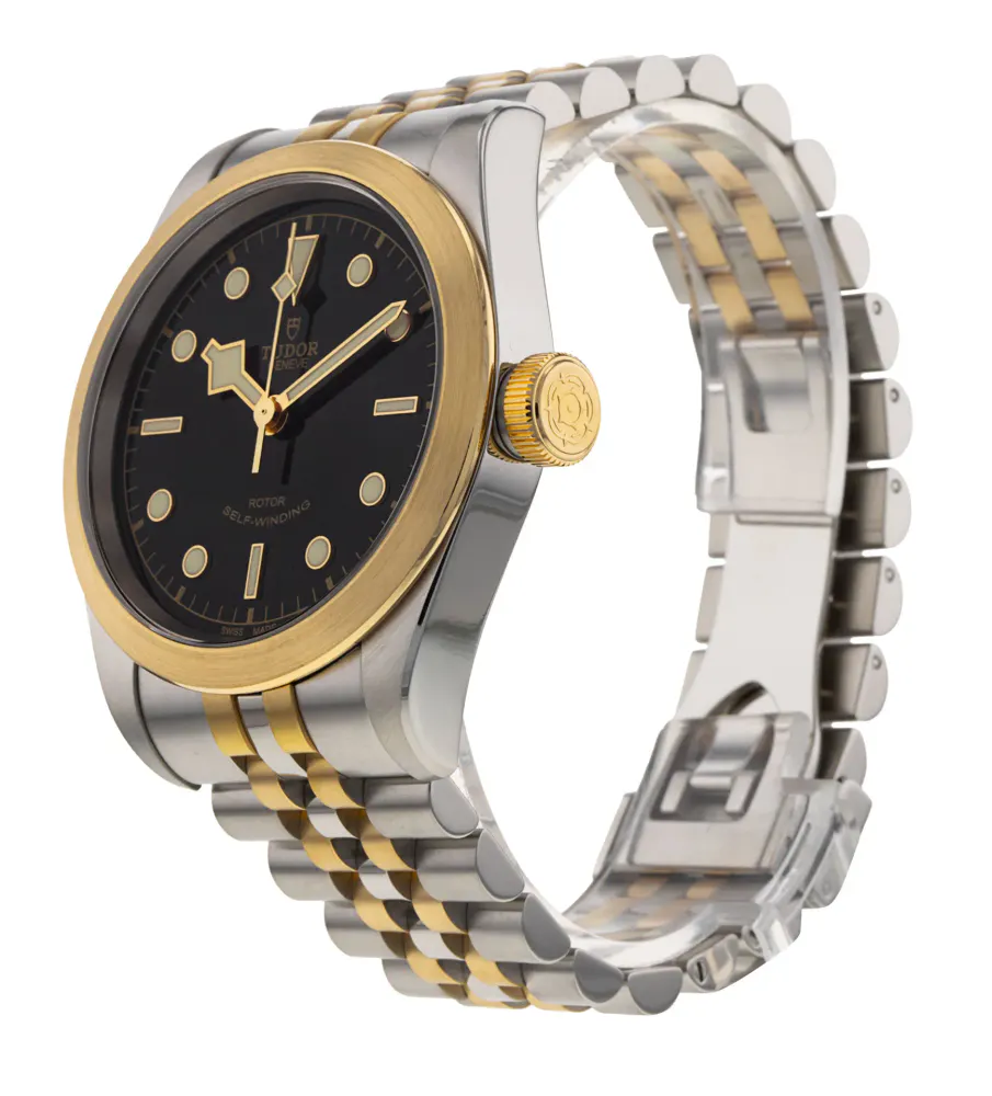 Tudor Heritage Black Bay M79543-0001 — 2021 — Excellent detail 2