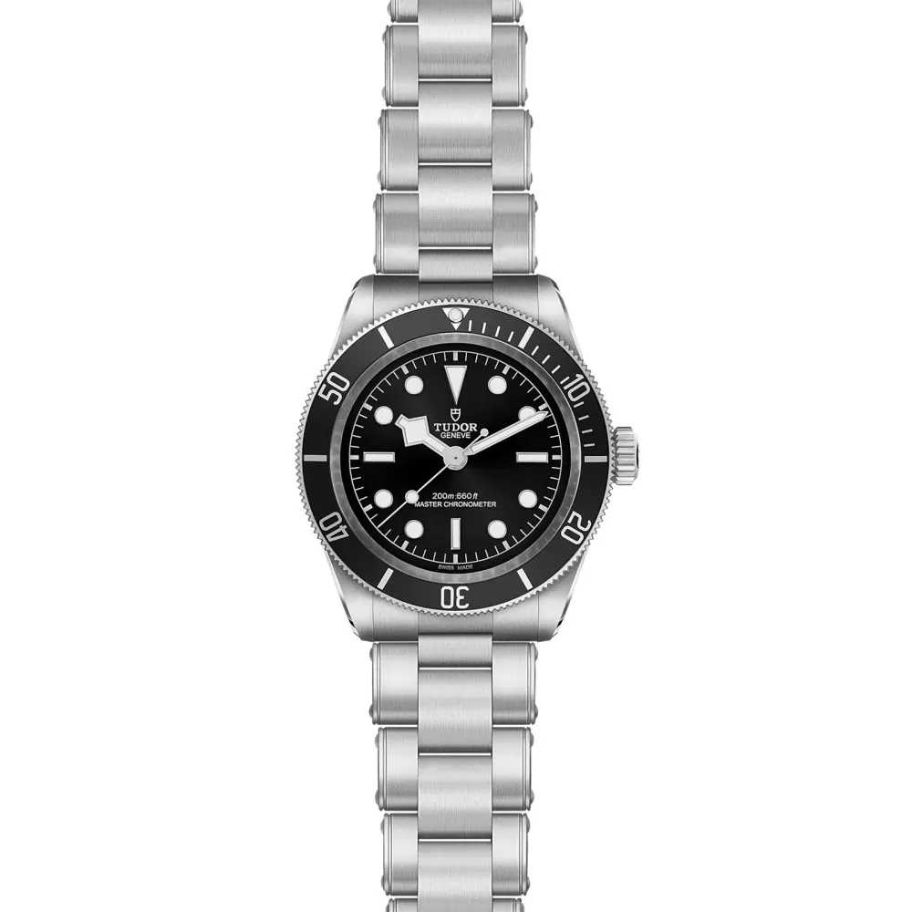Tudor Black Bay 41mm steel case steel bracelet detail 2