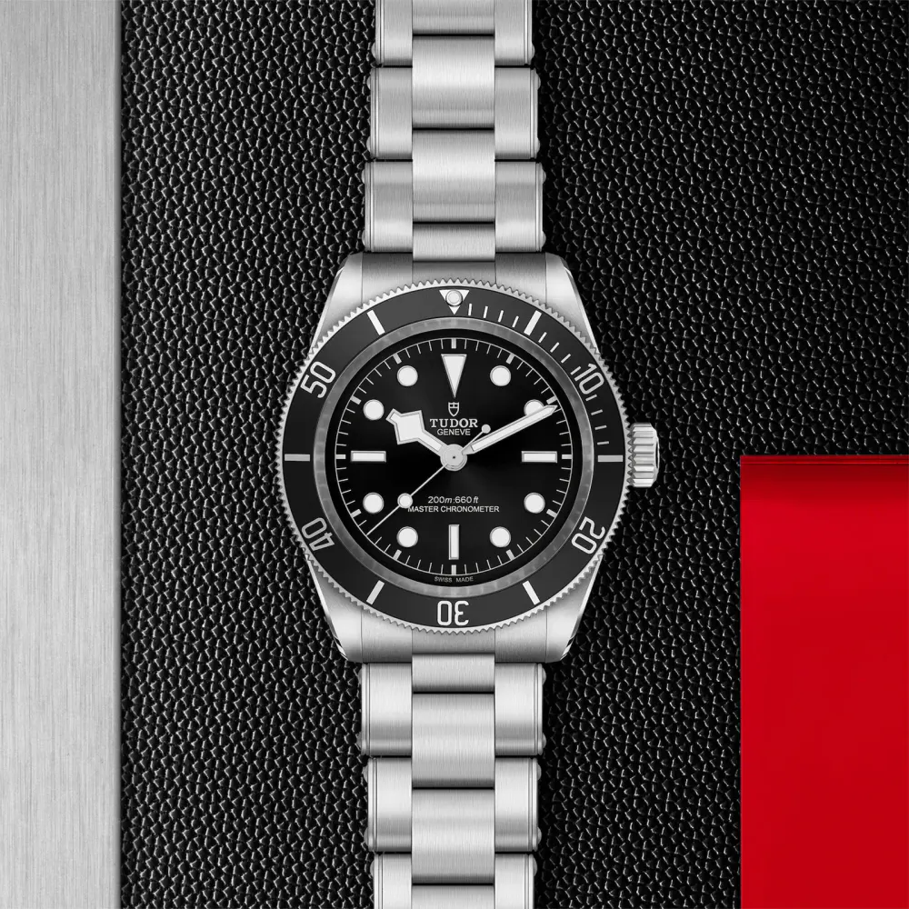 Tudor Black Bay 41mm steel case steel bracelet detail 3
