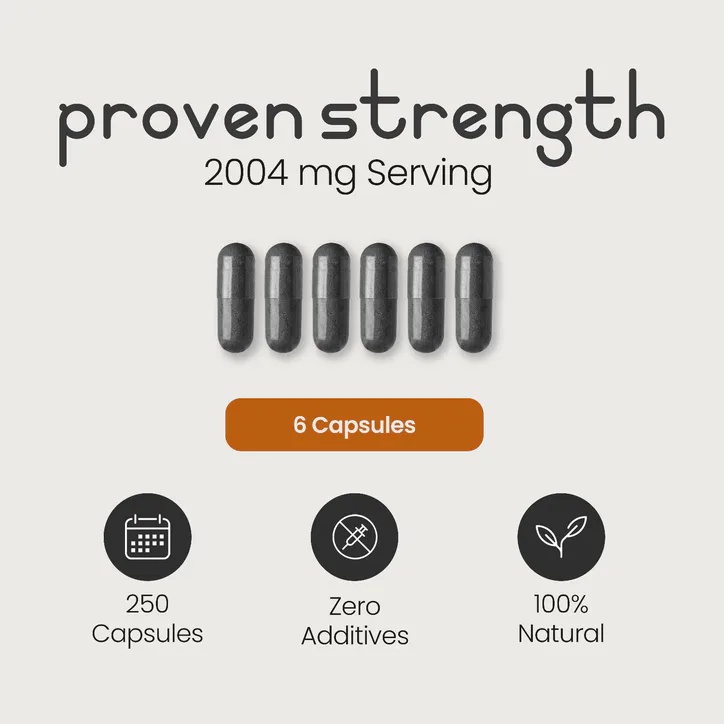 VitaBright Charcoal Capsules - 2004mg per Serving - 250 Capsules, additional product view 3