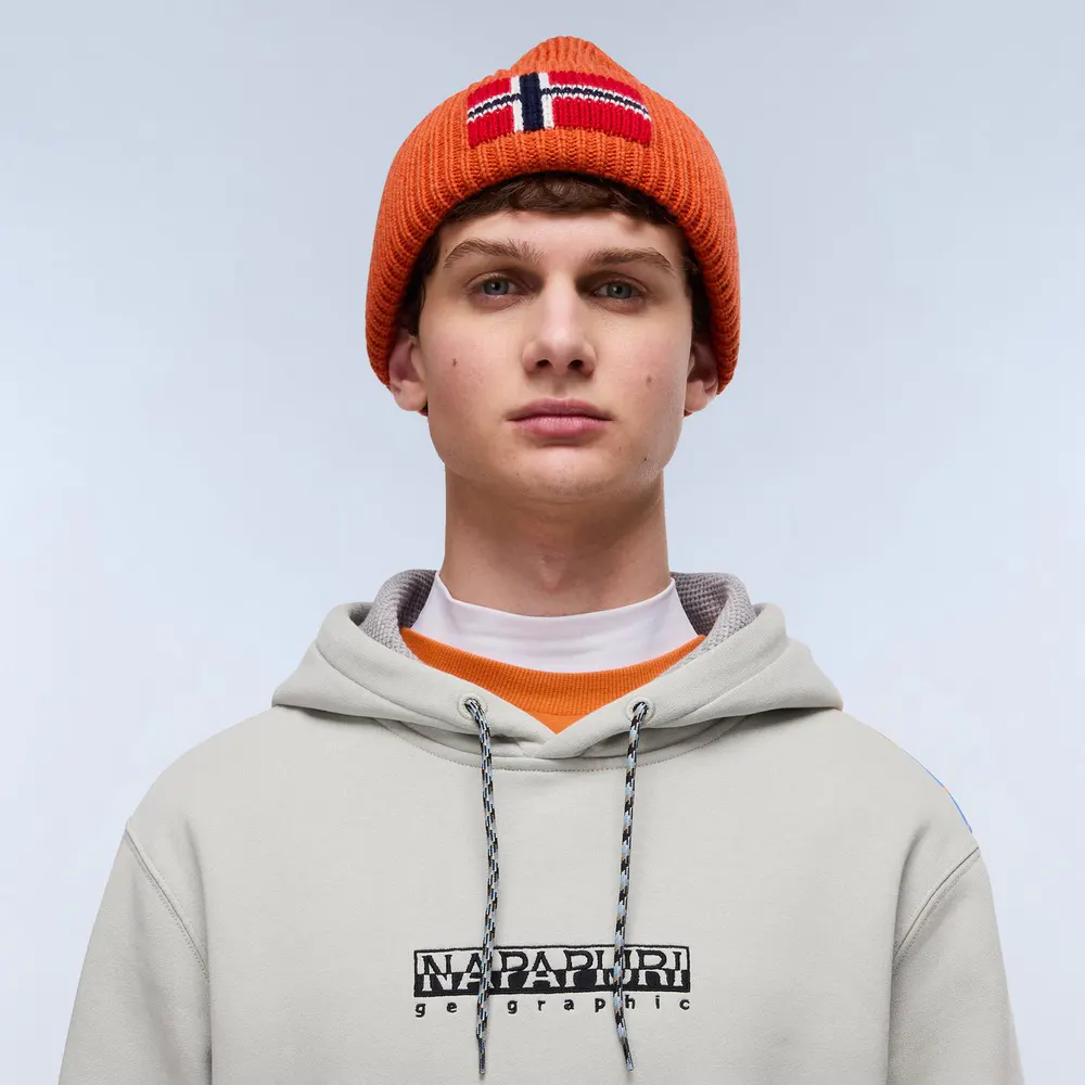 Napapijri Fiemme Hoodie Mens in Will Gray, additional product view 3