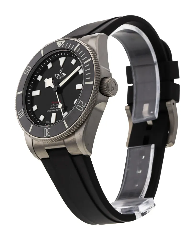 Tudor Pelagos M25407N-0001 — 2023 — Very good detail 2