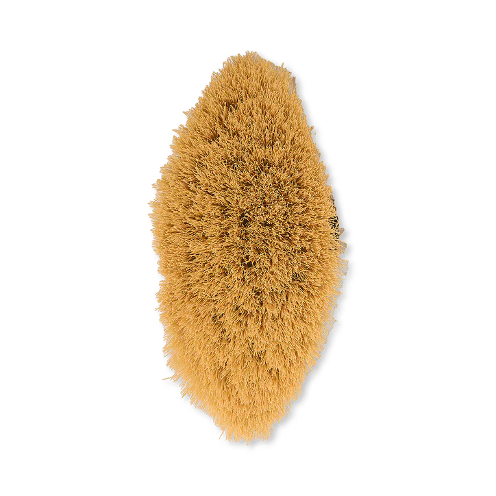 Vose 100% Cactus Bristle Vegan Dry Body Brush - Magnolia detail 3