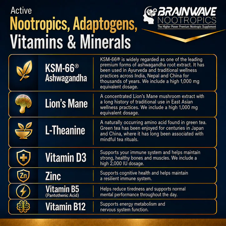 BRAINWAVE NOOTROPICS Brain Function & Immune System Support Complex - Ashwagandha, Lion’s Mane, L-Theanine, Vitamins D3, B5, B12 & Zinc, additional product view 3