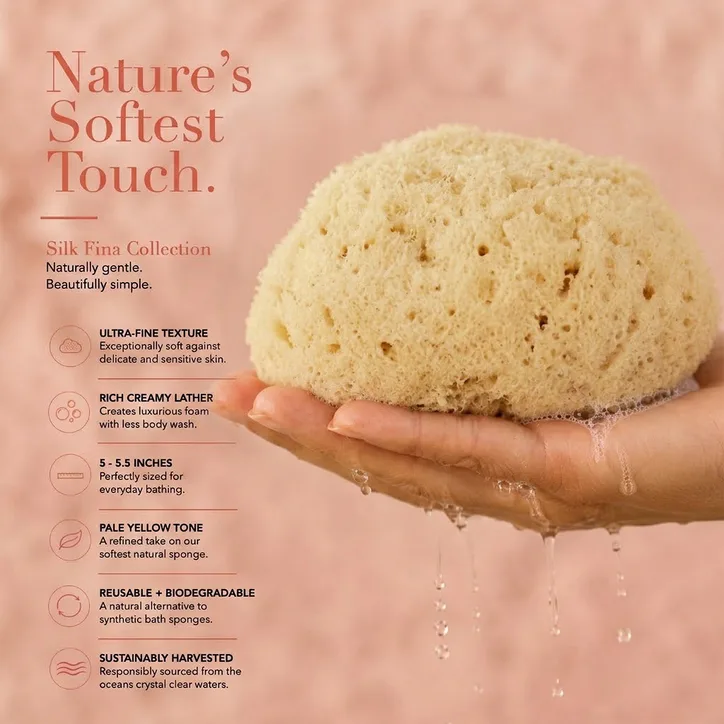 SpongeBox SilkGlow Gentle Body & Bath Natural Sea Sponge 5-5.5 Inches detail 2