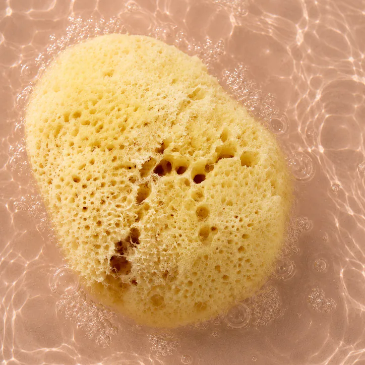 SpongeBox SilkGlow Gentle Body & Bath Natural Sea Sponge 5-5.5 Inches detail 3