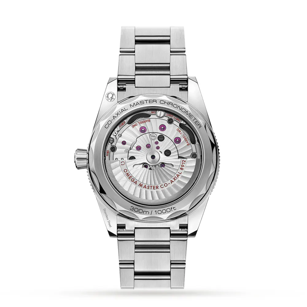 Omega Seamaster 300 Co-Axial Master Chronometer 41mm detail 2