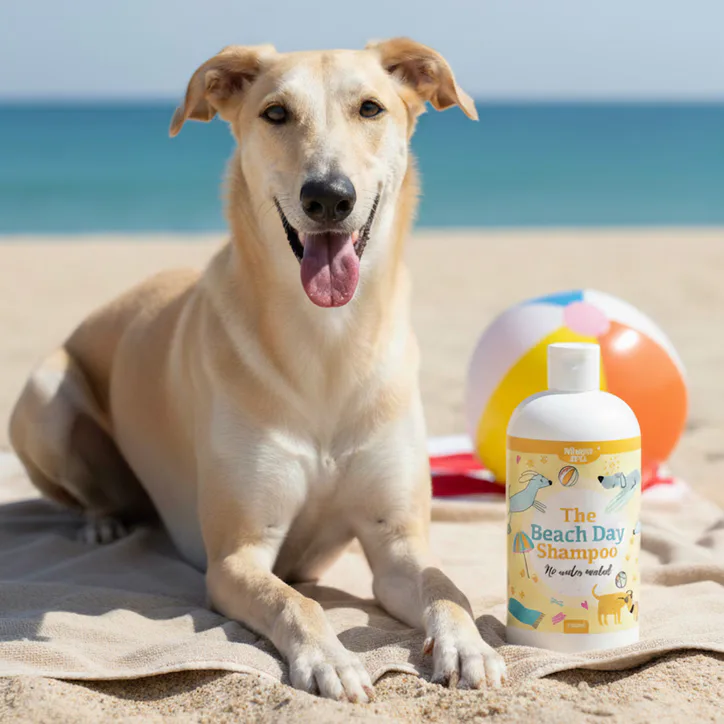 Nilaqua Pets Beach Day, Towel Off Pet Shampoo For Sea Salt & Sand 240ml detail 2