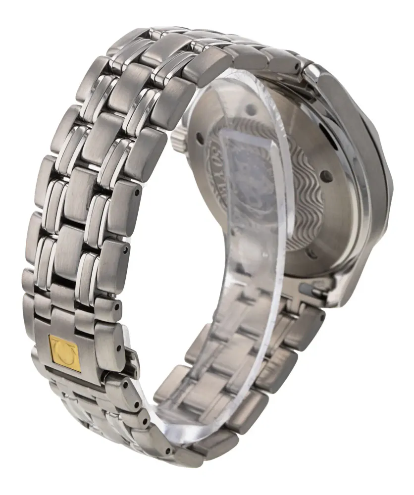 Omega Seamaster GMT 2534.50.00 — 2001 — Very good detail 3