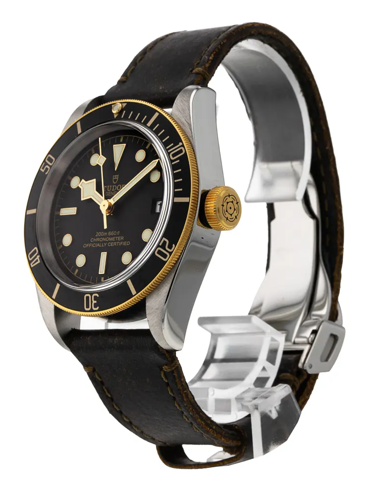 Tudor Heritage Black Bay M79733N-0001 — 2024 — Very good detail 2