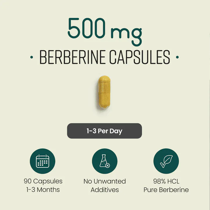 VitaBright Berberine HCL 98% - 1500mg per Serving - 90 Capsules, additional product view 3