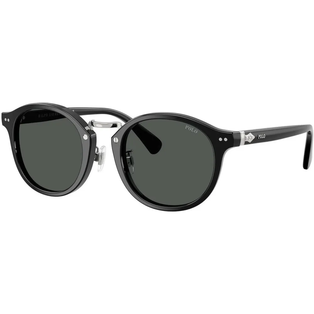 Polo Ralph Lauren Men's 0PH4230 Round Sunglasses detail 2