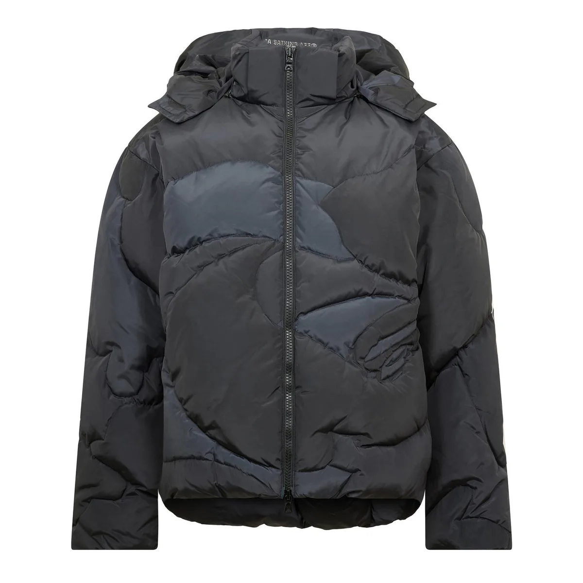 A Bathing Ape Bape Camo Puffer Sn54