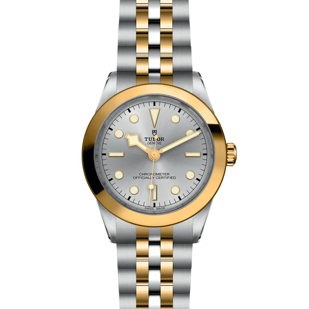 Tudor Black Bay One 39 S&G 39mm Steel Case Steel And Yellow Gold Bracelet detail 2