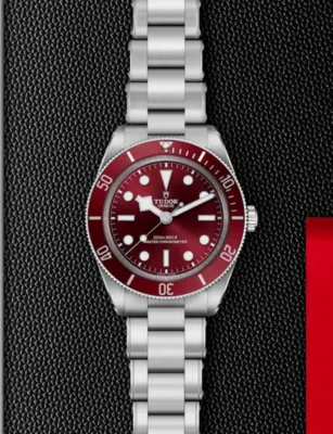 TUDOR Black Bay 58 Stainless-Steel Automatic Watch 39mm in BURGUNDY, additional product view 2