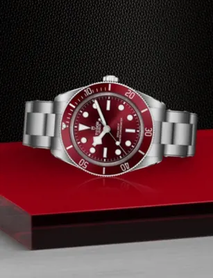 TUDOR Black Bay 58 Stainless-Steel Automatic Watch 39mm in BURGUNDY, additional product view 3