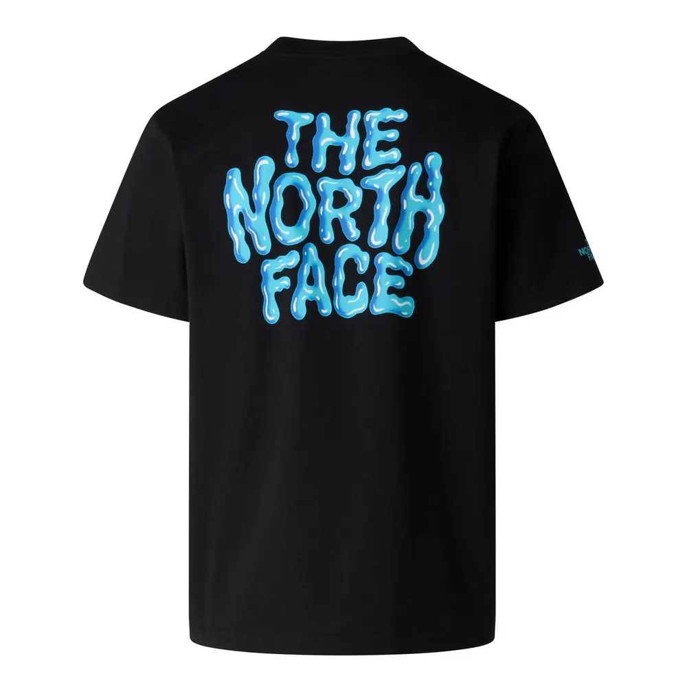 The North Face TNF Drip Graphic Tee Mens