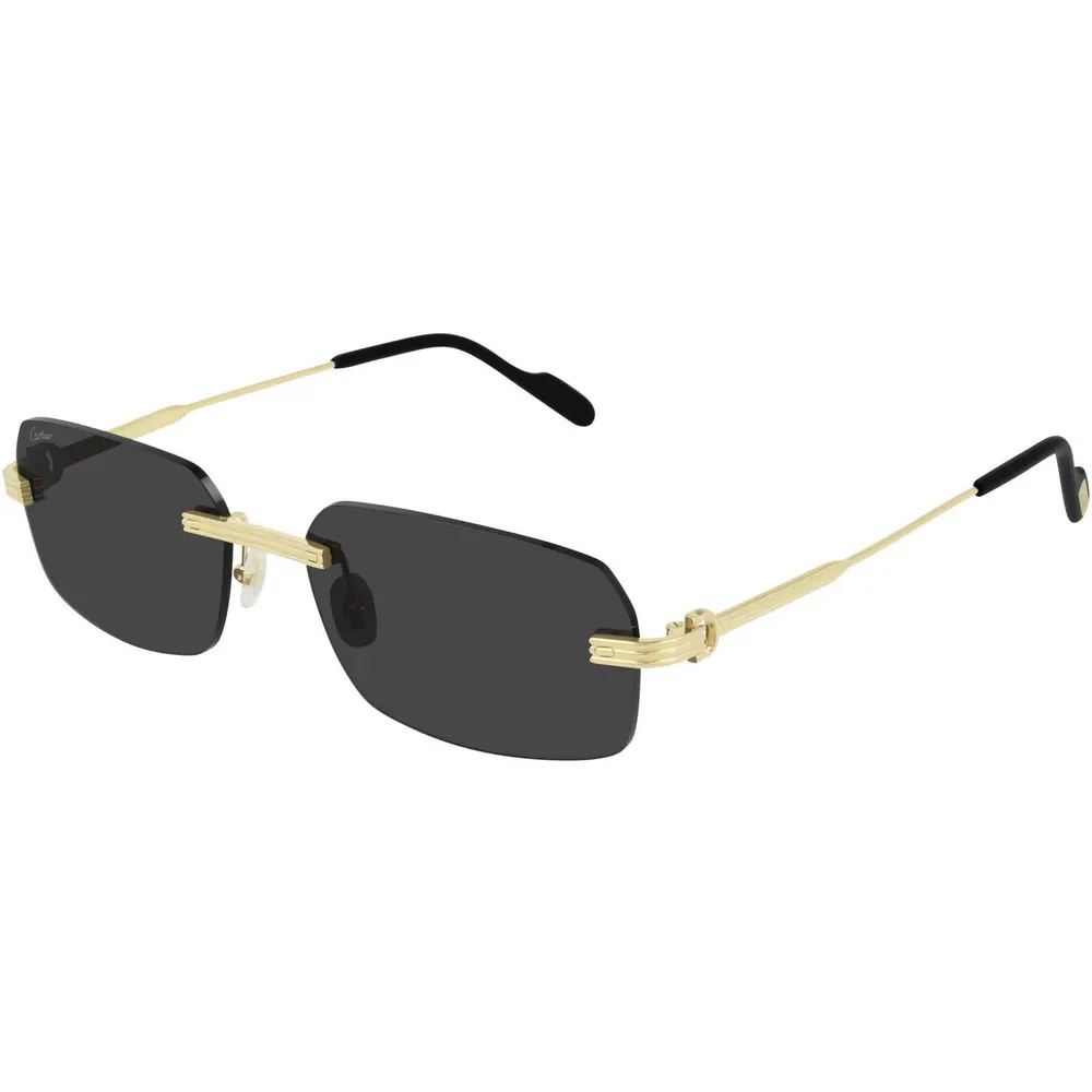 Cartier Cartier CT0271S Mens Rimless Rectangular Sunglasses