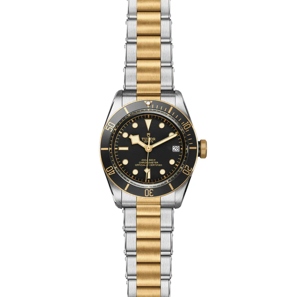 Tudor Black Bay S&G 41mm Stainless Steel in Black, additional product view 2