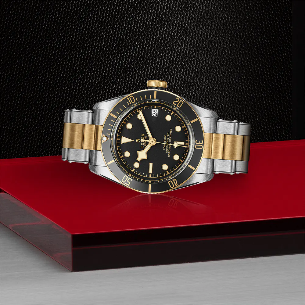 Tudor Black Bay S&G 41mm Stainless Steel in Black, additional product view 3