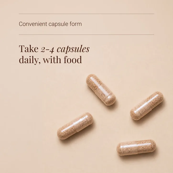 KIKI HEALTH Organic Reishi Mushroom Extract - 60 Vegicaps detail 3