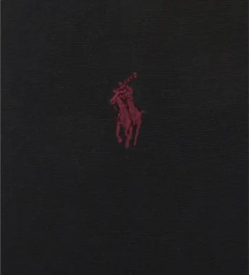 POLO RALPH LAUREN Fil d'Ecosse cotton socks - 9-11 in BLACK, additional product view 2