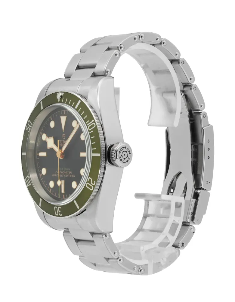Tudor Heritage Black Bay 79230G — 2020 — Very good detail 2
