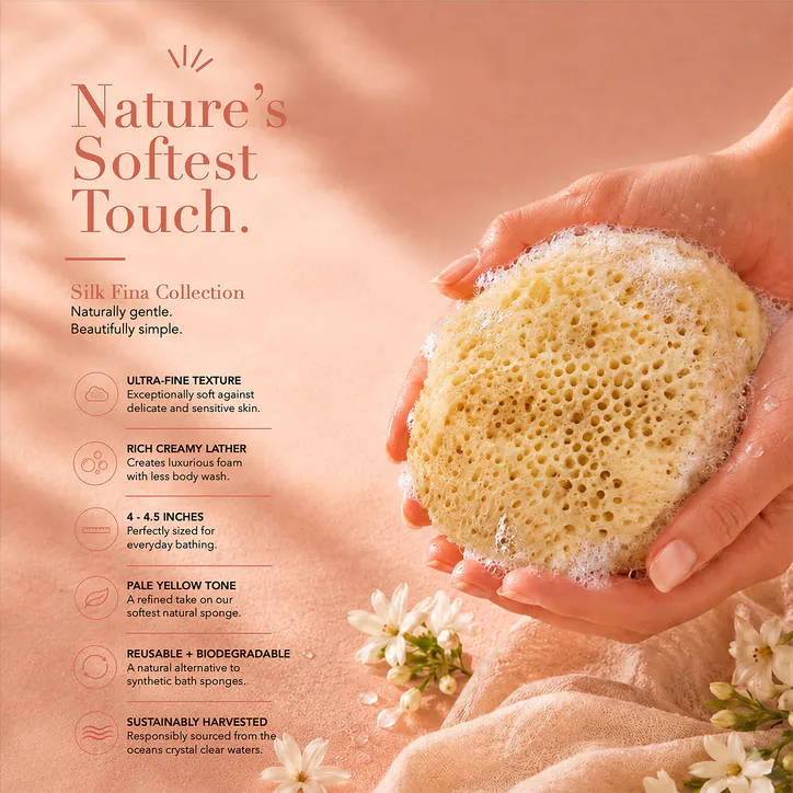 SpongeBox SilkGlow Gentle Body & Bath Natural Sea Sponge 4-4.5 Inches, additional product view 2