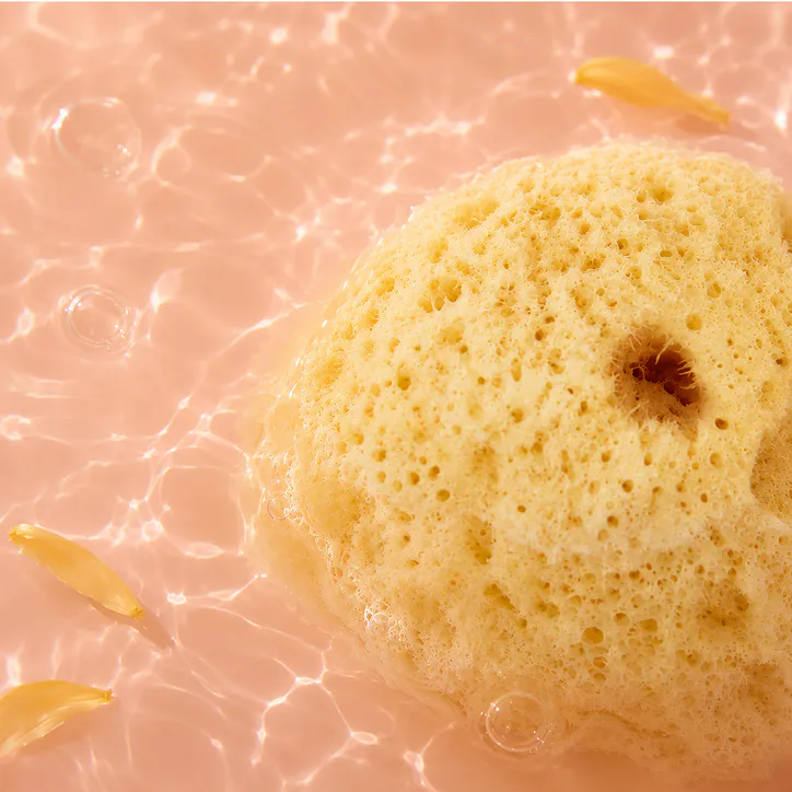SpongeBox SilkGlow Gentle Body & Bath Natural Sea Sponge 4-4.5 Inches, additional product view 3