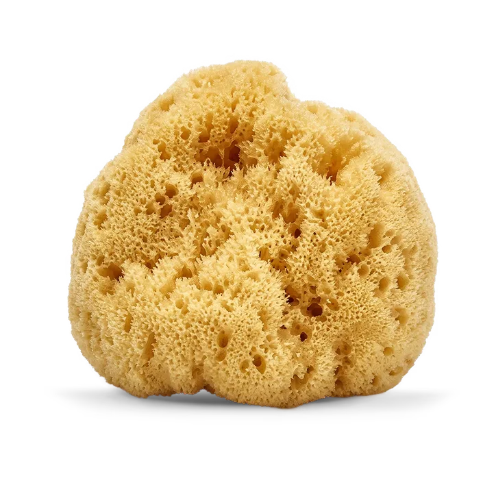 SpongeBox SilkGlow Gentle Body & Bath Natural Sea Sponge 4-4.5 Inches