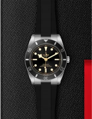 TUDOR M79000N-0002 Black Bay stainless-steel automatic watch in BLACK, additional product view 3
