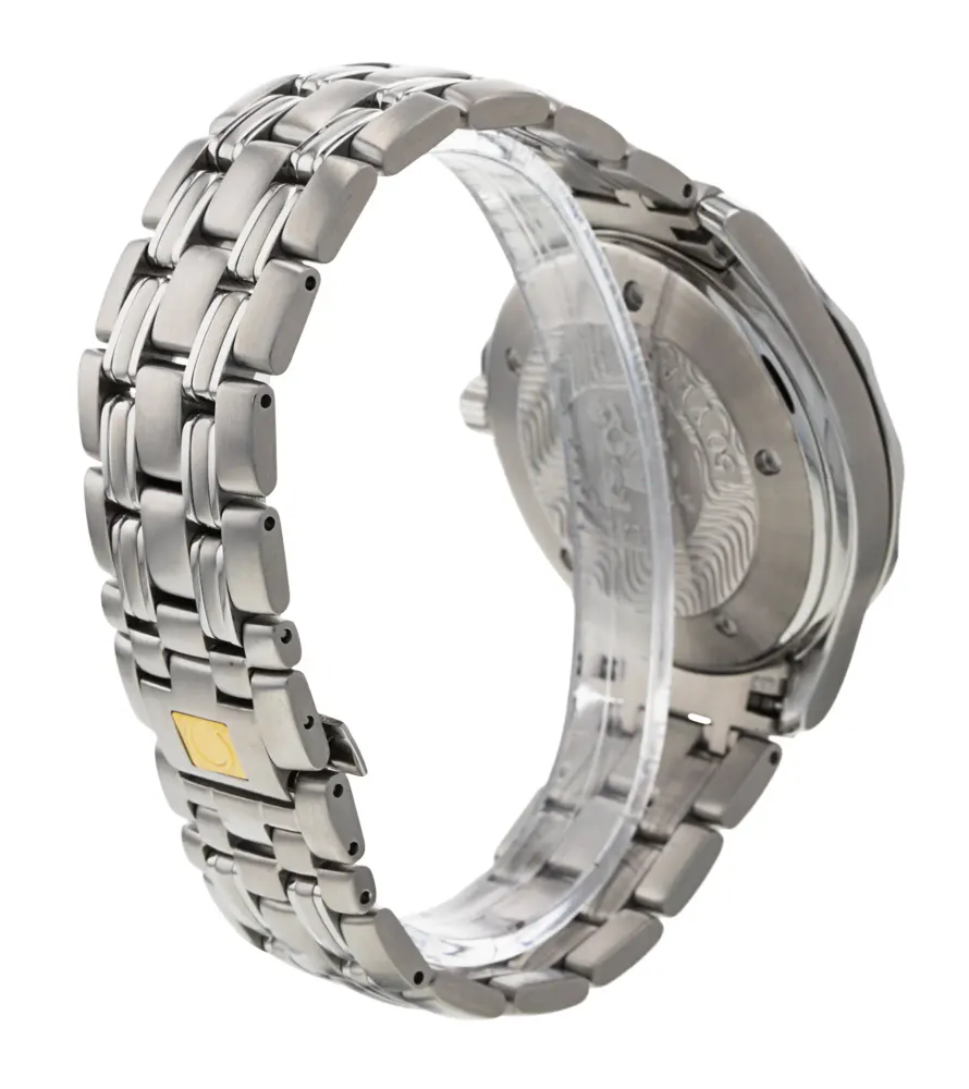 Omega Seamaster GMT 2534.50.00 — 2002 — Very good detail 3
