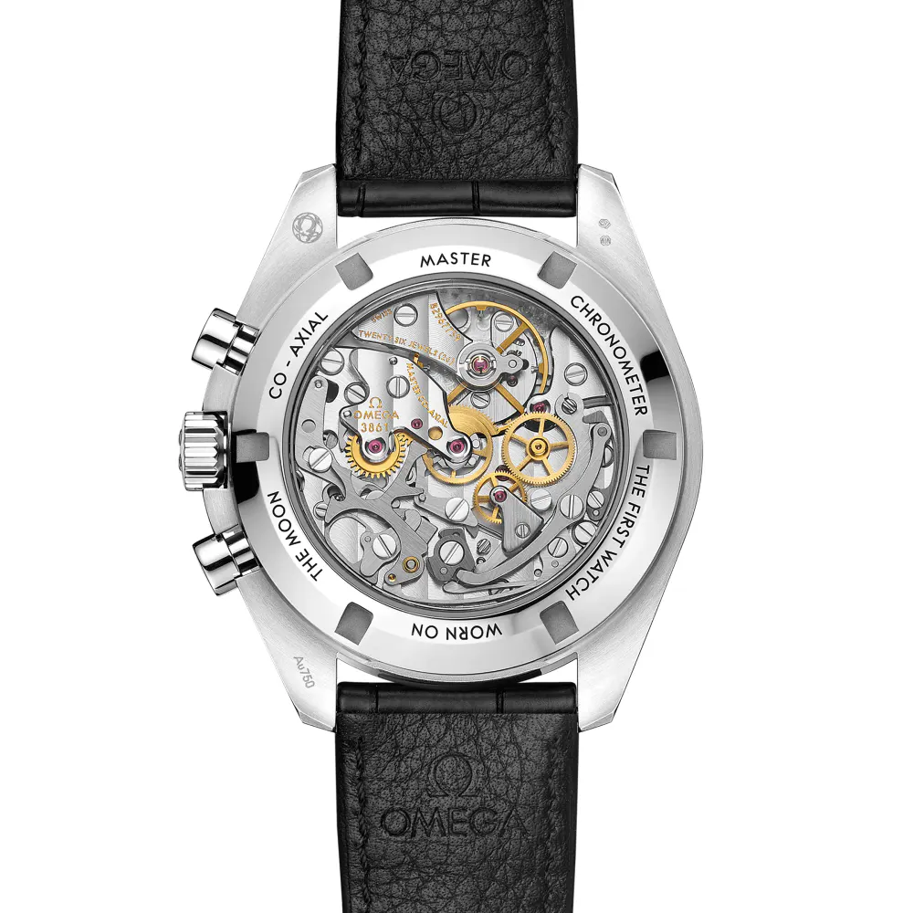 Omega Speedmaster Moonwatch Professional 42mm Mens Watch in Silver, additional product view 2