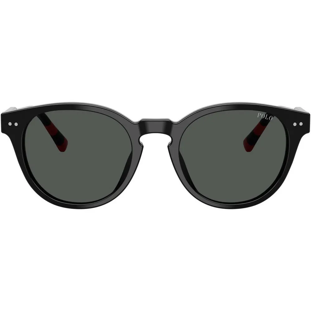 Polo Ralph Lauren Men's 0PH4241U Round Sunglasses detail 2