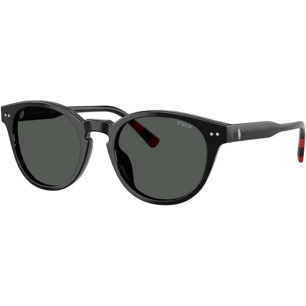 Polo Ralph Lauren Men's 0PH4241U Round Sunglasses detail 3
