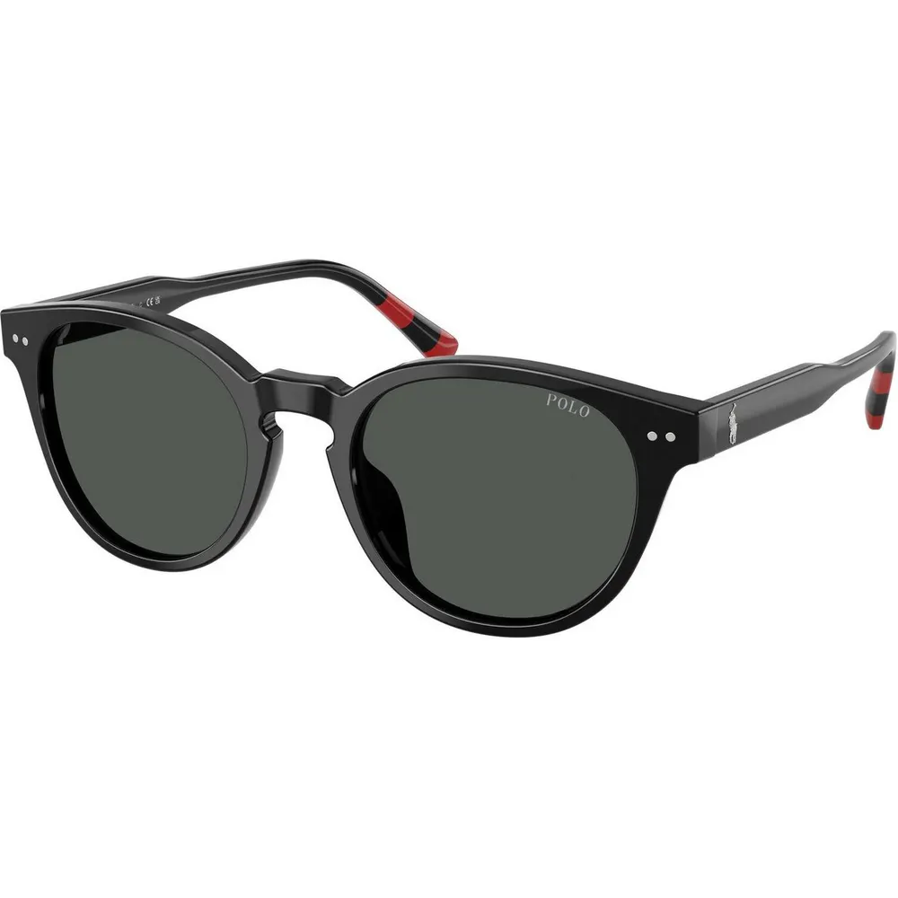 Polo Ralph Lauren Men's 0PH4241U Round Sunglasses