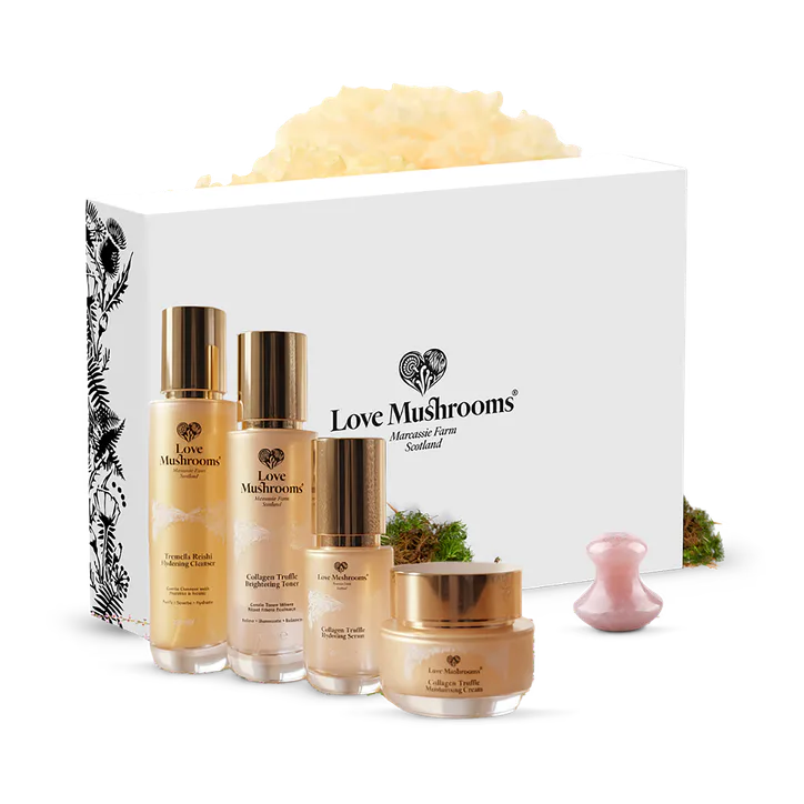 Love Mushrooms Collagen Truffle Gift Set – Active Nutrition > Sports Collagen