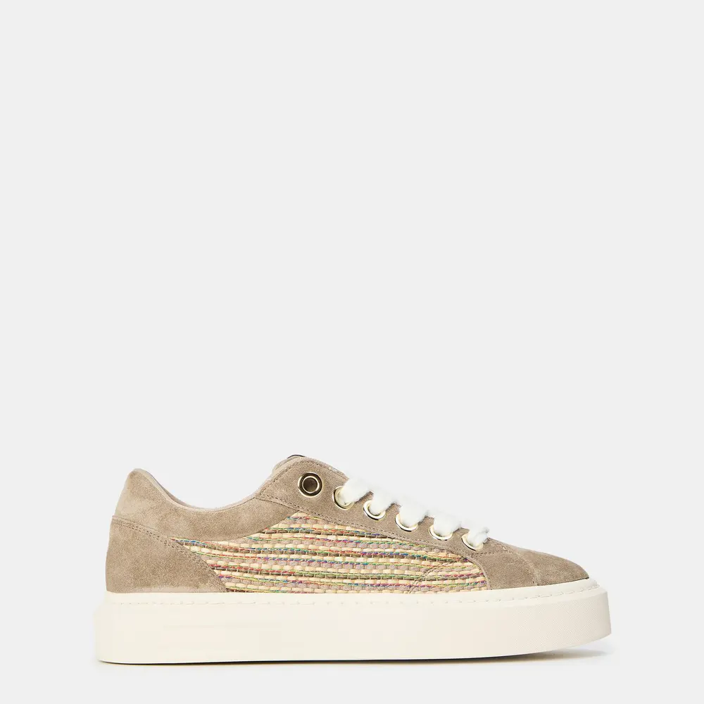 Cleens Ace Sneakers in Taupe – Footwear