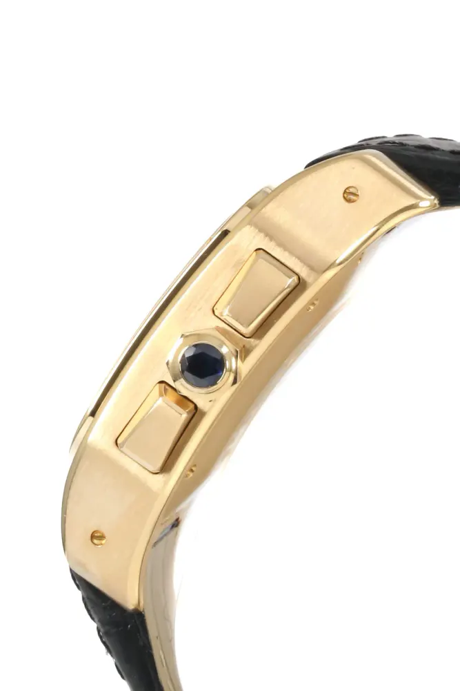 Cartier Santos 100 W20096Y1 — 2014 — Very good detail 2