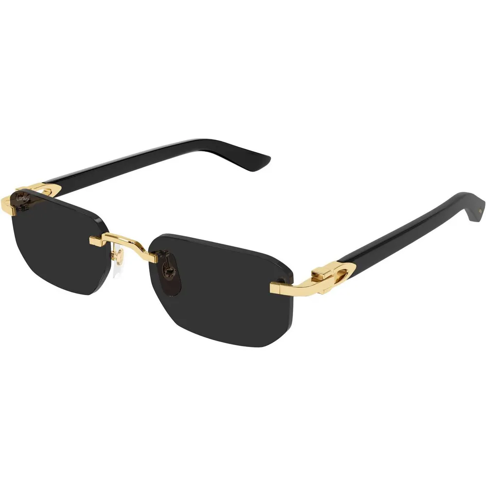Cartier Cartier CT0622S Mens Rectangular Sunglasses