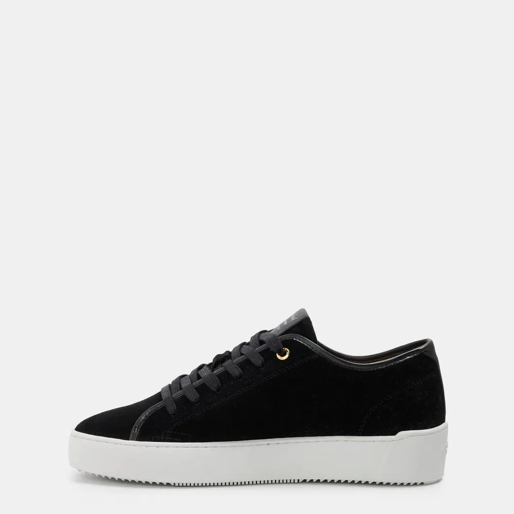 Android Homme Sorrento Sneakers in Black/White, additional product view 2
