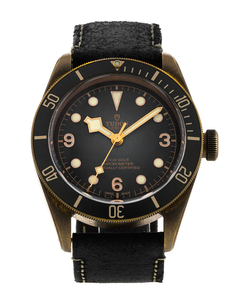 Tudor Black Bay M79250BA-0002 — 2021 — Very good