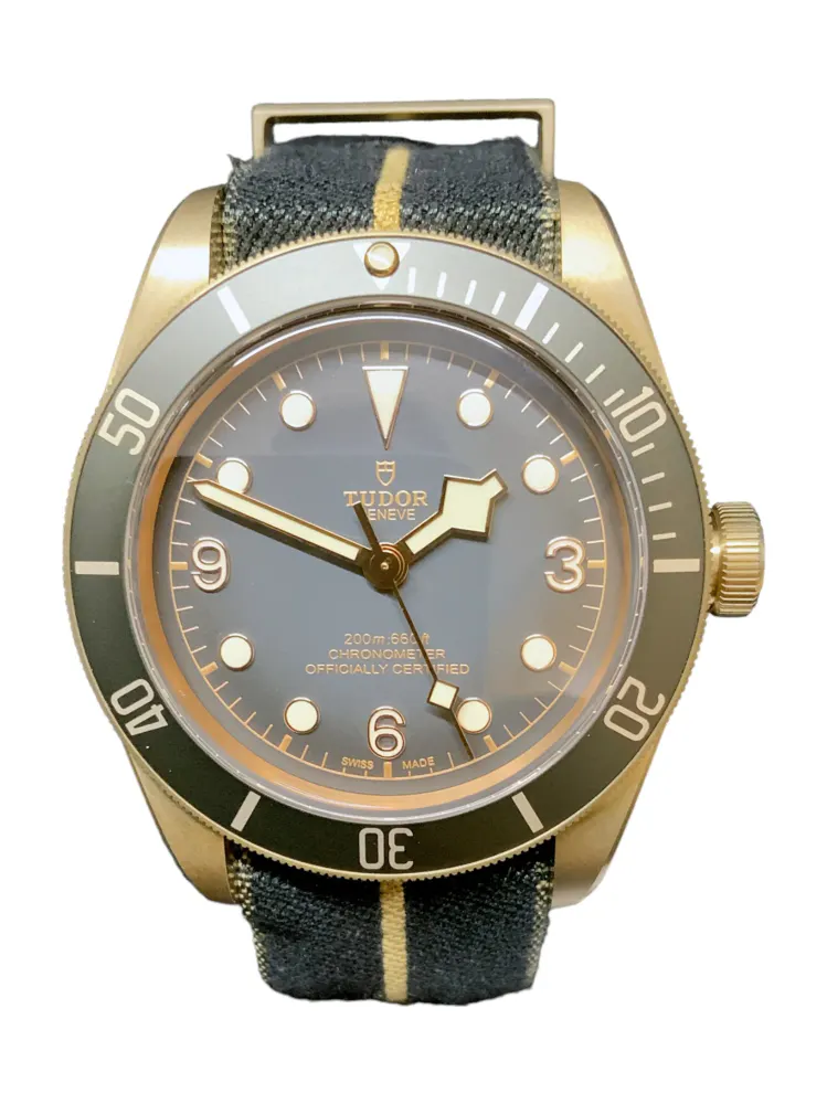 Tudor Black Bay M79250BA-0002 — 2022 — Very good