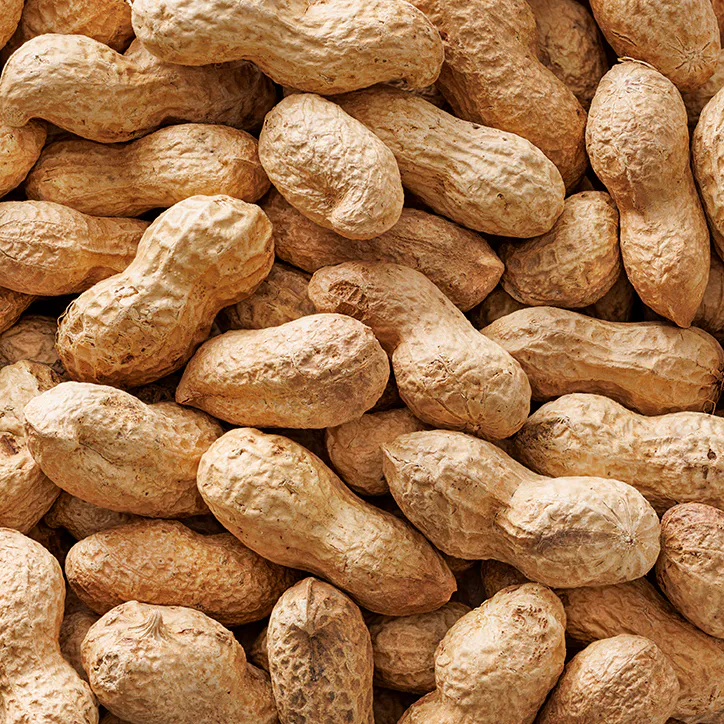 For Him Roasted Monkey Nuts 300g detail 3