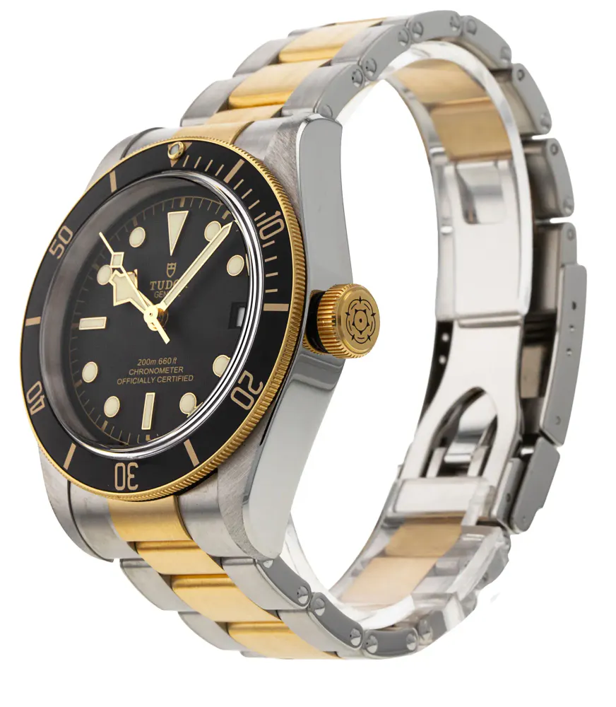 Tudor Black Bay M79733N-0008 — 2021 — Excellent detail 2