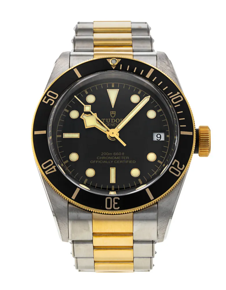 Tudor Black Bay M79733N-0008 — 2021 — Excellent