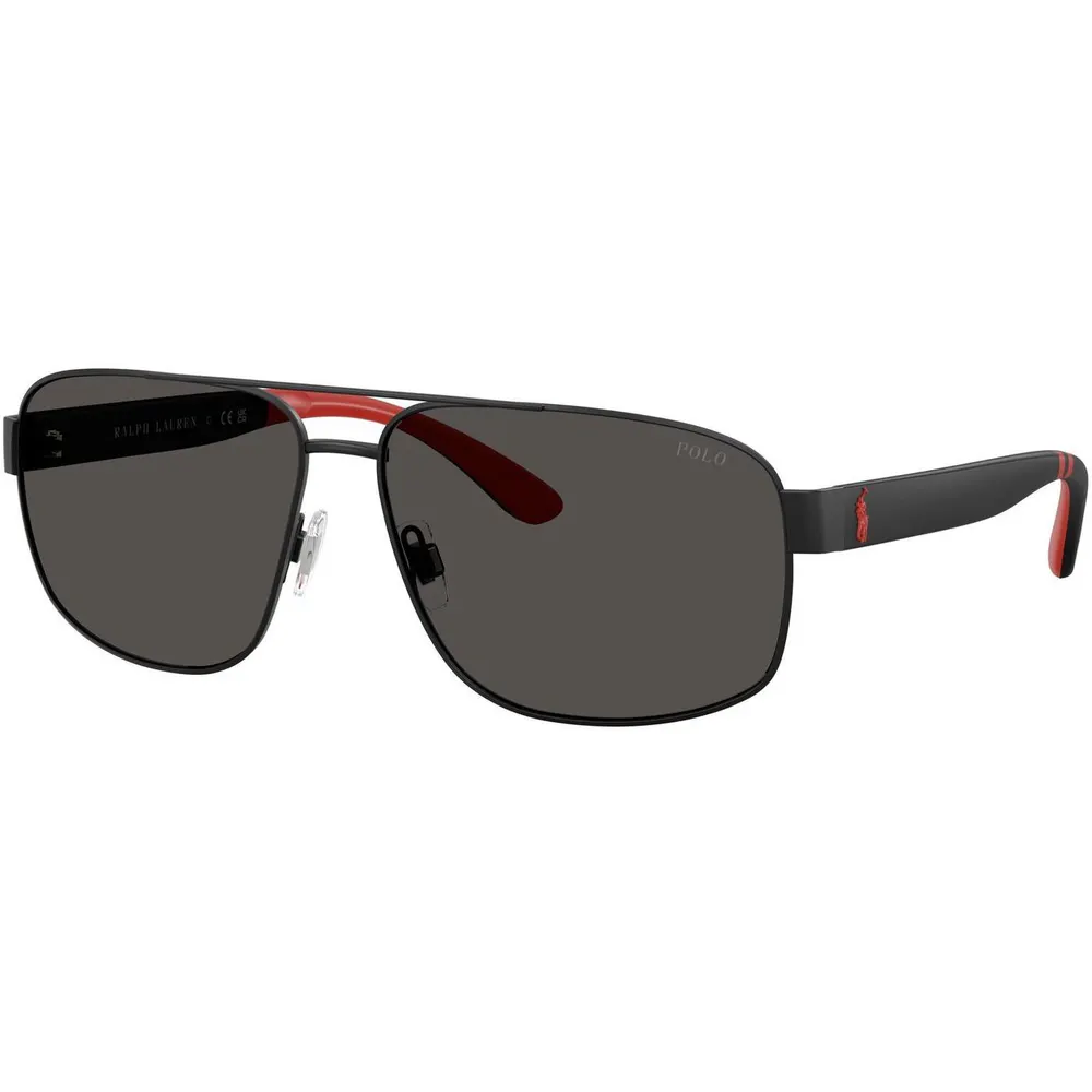 Polo Ralph Lauren Men's 0PH3112 Oval Sunglasses detail 2